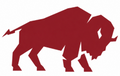 Buffalo Design Stencil - Final Payment