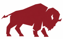 Buffalo Design Stencil - Final Payment